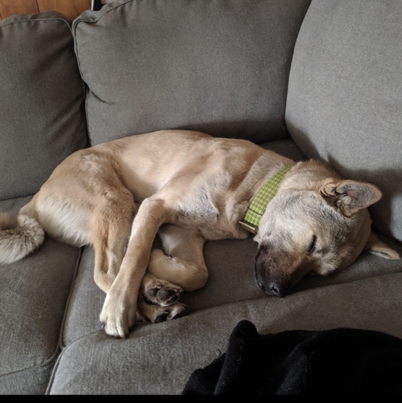 I'm Live! Come Sleep On Posh With Me!! - Picture 3 of 10